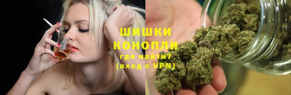 mdpv Новодвинск
