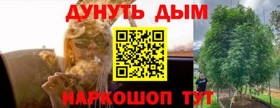 крисы Сертолово