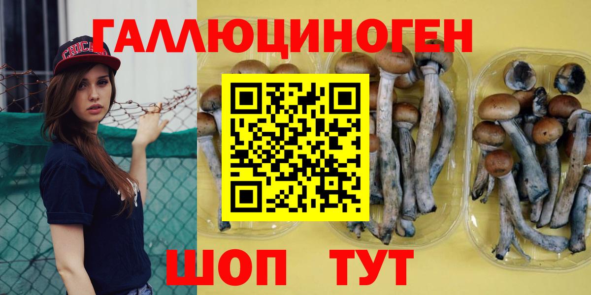 Смоленск  Галлюциногенные грибы GOLDEN TEACHER  Вход с VPN 